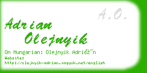 adrian olejnyik business card